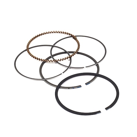 Briggs & Stratton RING SET 843953